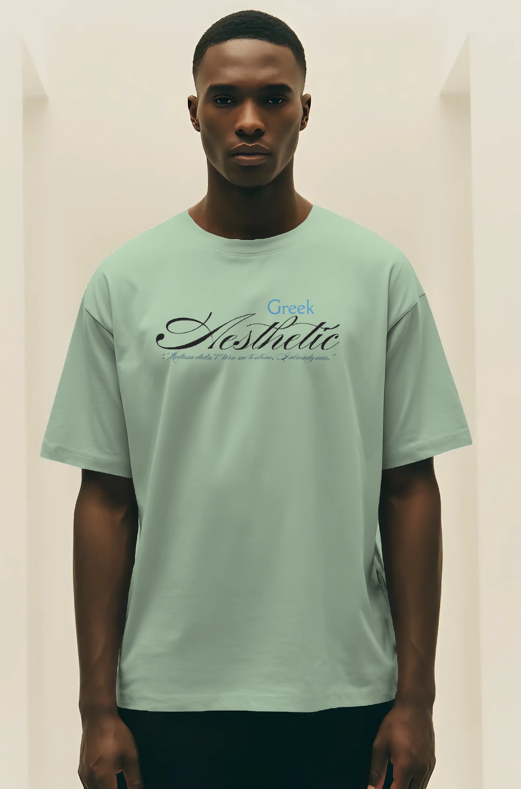 "Greek Aesthetic" theme oversized t shirt