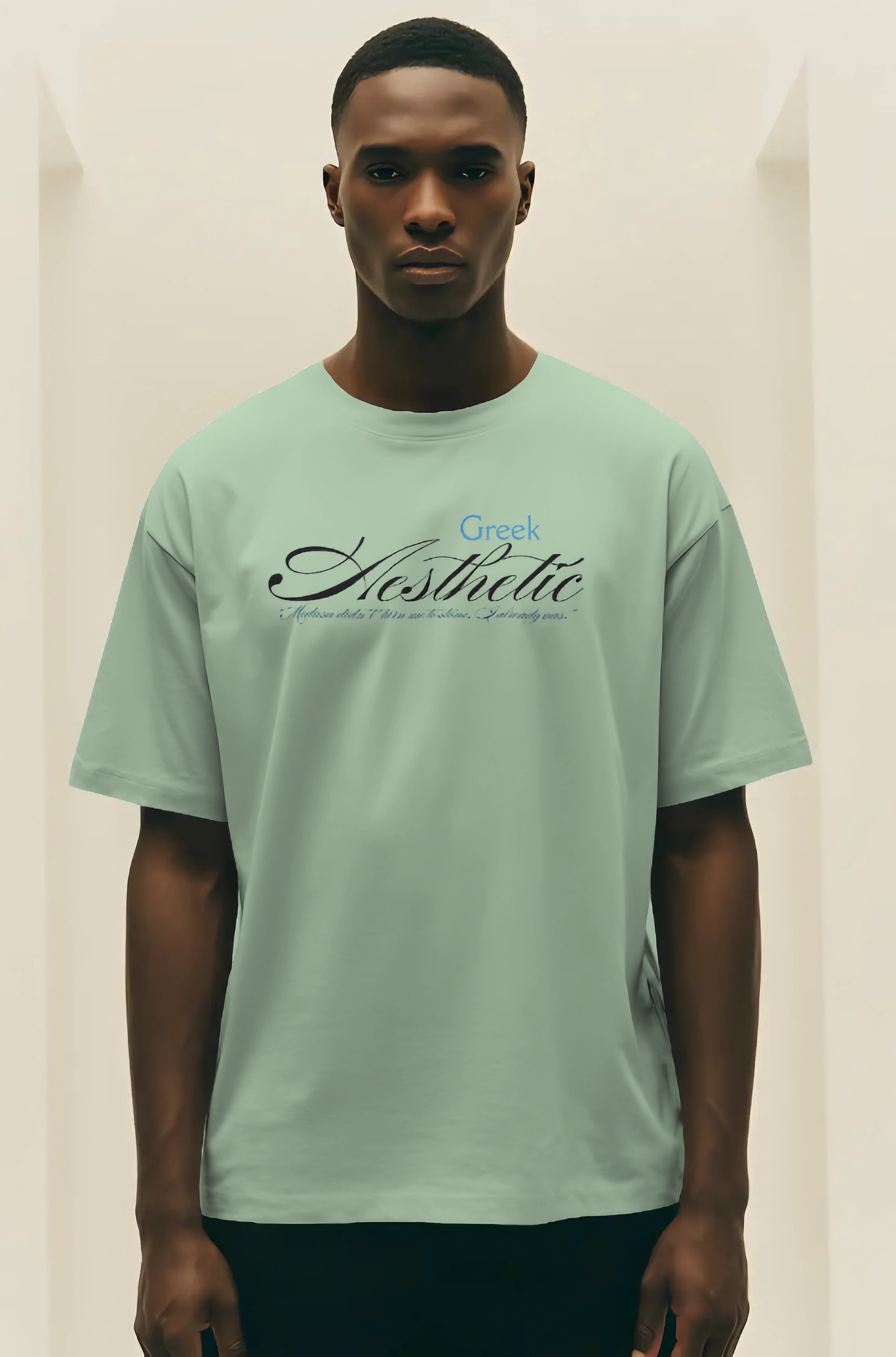 "Greek Aesthetic" theme oversized t shirt