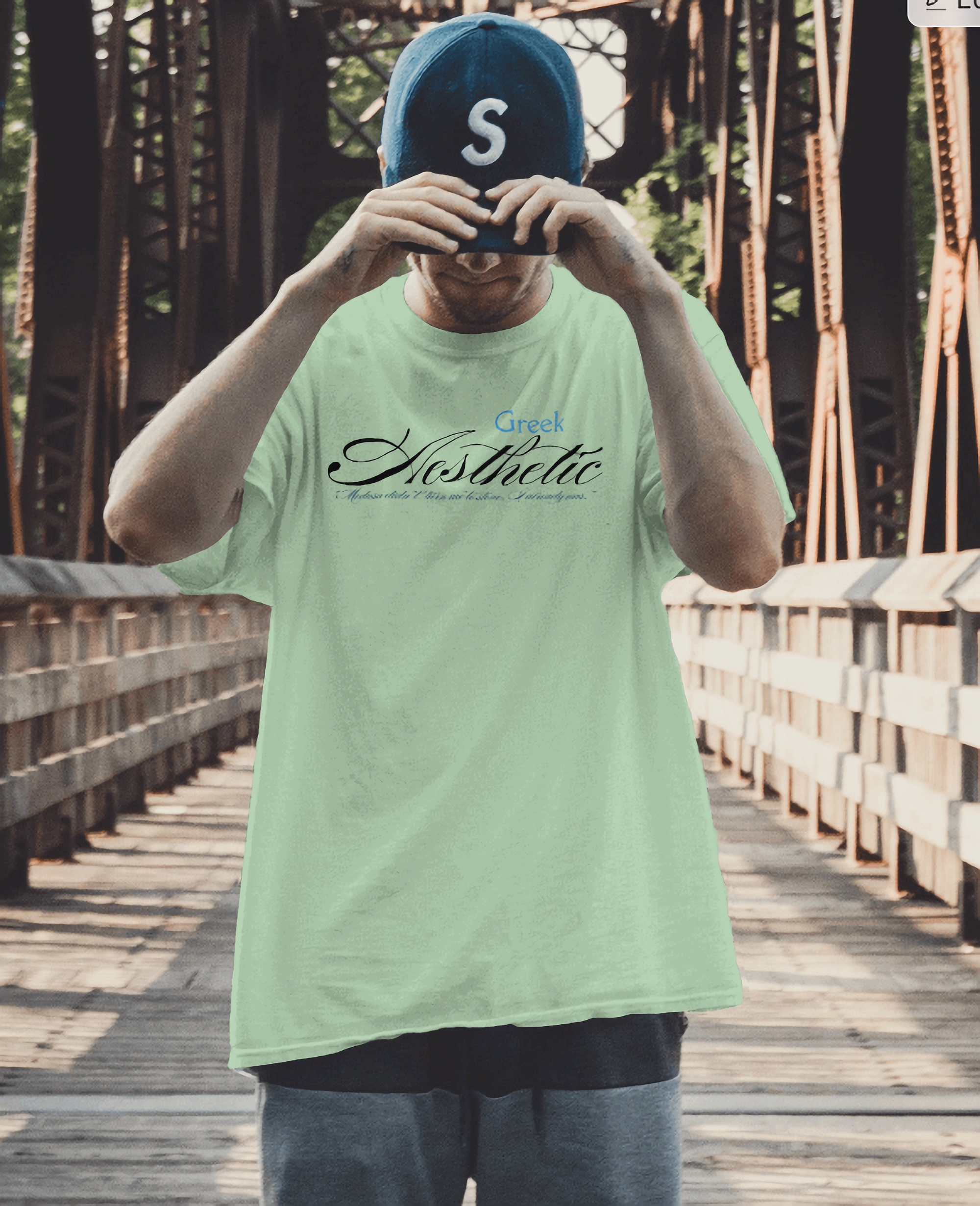 "Greek Aesthetic" theme oversized t shirt